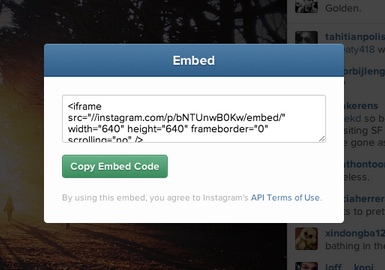 Instagram Embeds