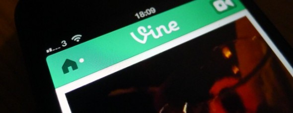 vine1-645x250